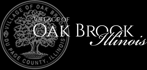oak brook il web design and digital marketing